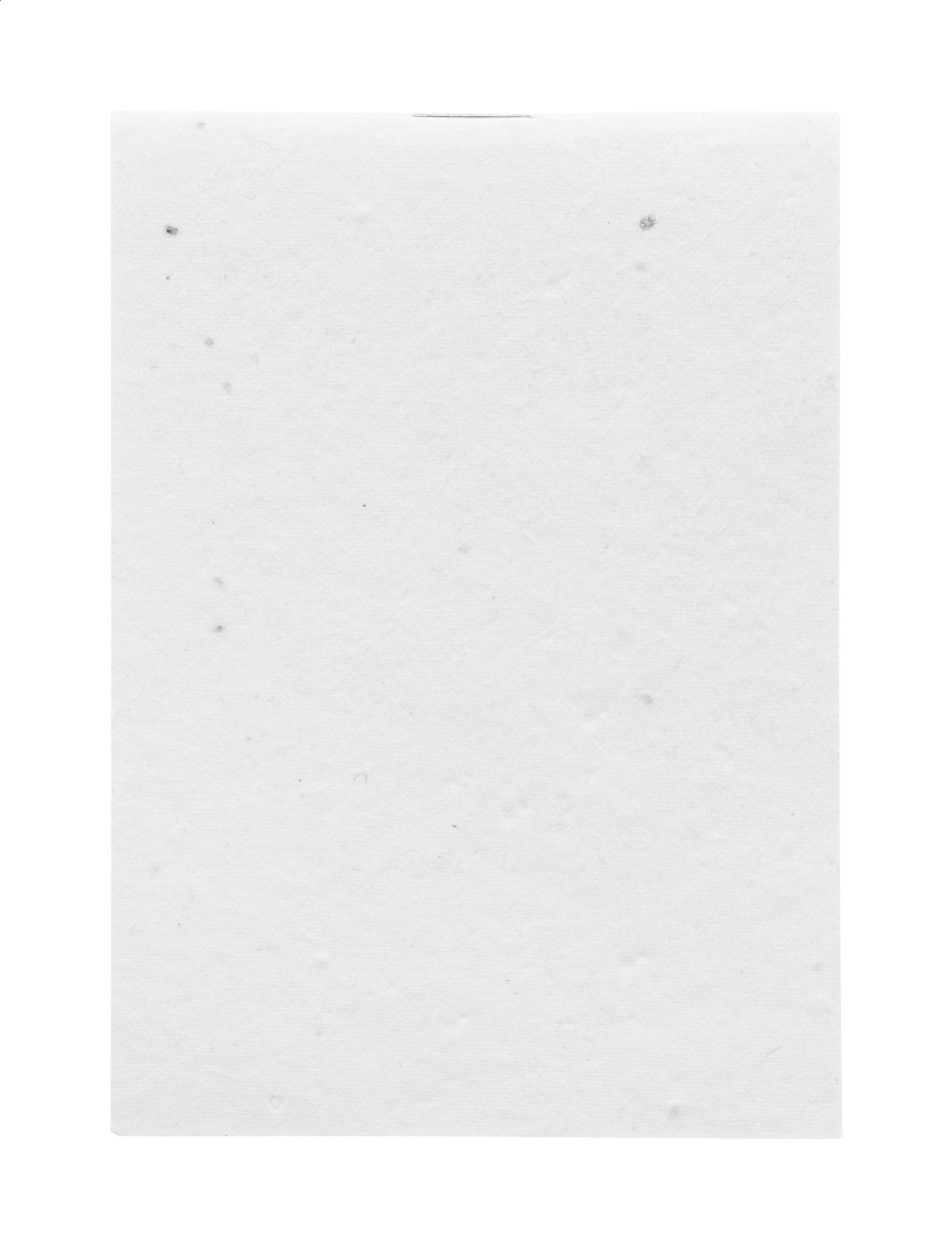 custom seed paper notebook - Image 6
