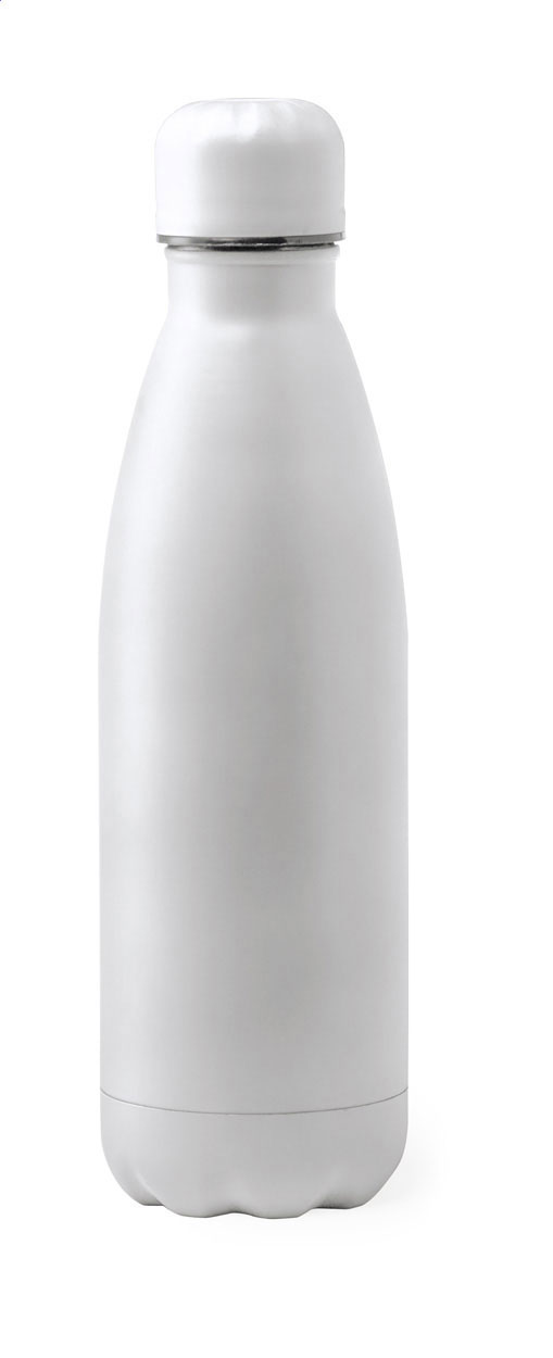 stainless steel bottle