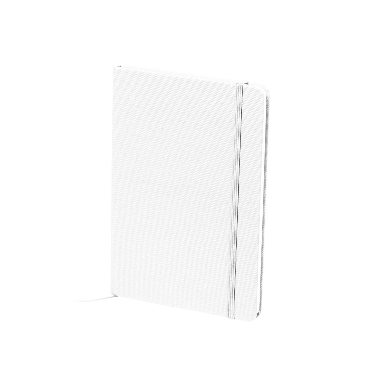 RPET notebook - Image 4