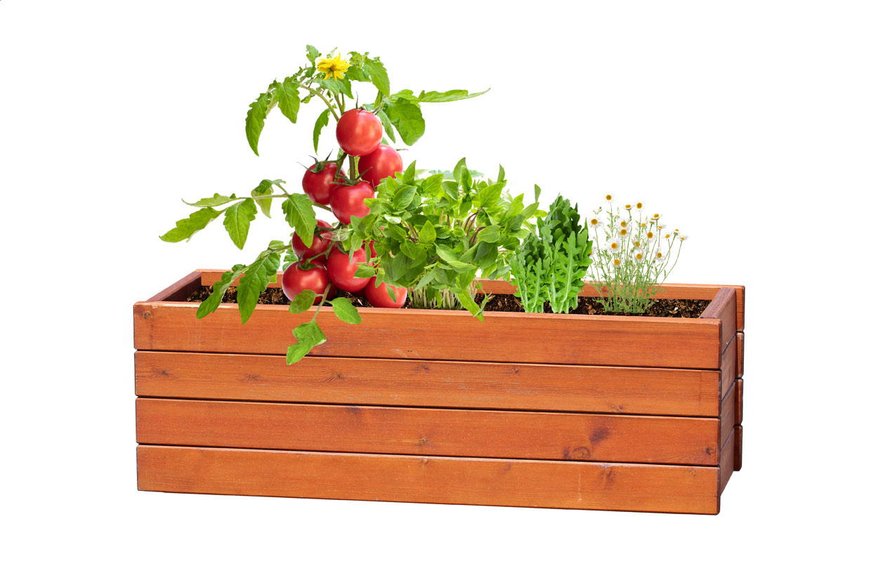 herb growing kit - Image 5