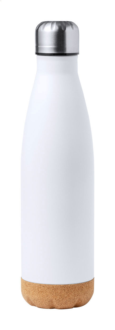 stainless steel bottle
