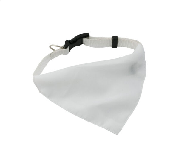 dog's collar