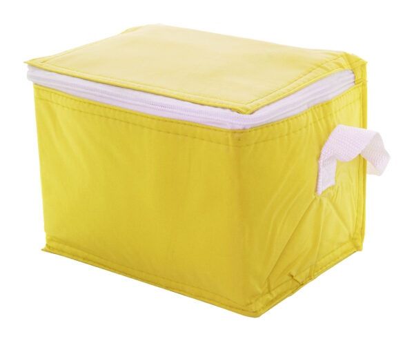 cooler bag