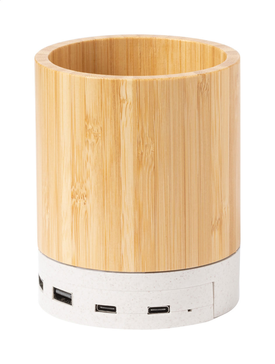 multifunctional pen holder